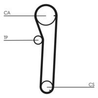 CONTINENTAL CTAM CT672 - Correa dentada