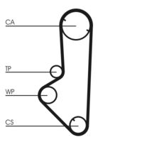 CONTINENTAL CTAM CT707 - Correa dentada