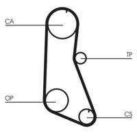 CONTINENTAL CTAM CT716 - Correa dentada