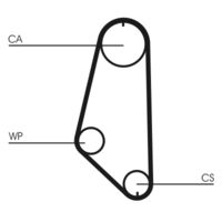 CONTINENTAL CTAM CT720 - Correa dentada