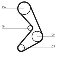 CONTINENTAL CTAM CT750 - Correa dentada