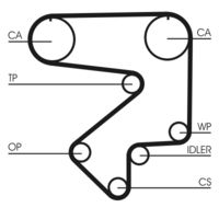 CONTINENTAL CTAM CT783 - Correa dentada