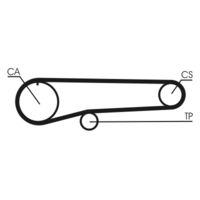 CONTINENTAL CTAM CT779 - Correa dentada