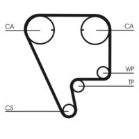 CONTINENTAL CTAM CT804 - Correa dentada