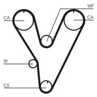 CONTINENTAL CTAM CT805 - Correa dentada