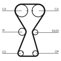 CONTINENTAL CTAM CT826 - Correa dentada