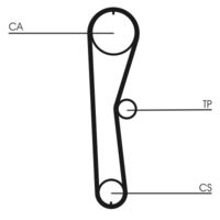 CONTINENTAL CTAM CT824 - Correa dentada