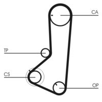 CONTINENTAL CTAM CT836 - Correa dentada