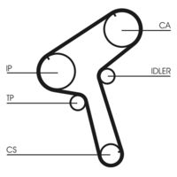 CONTINENTAL CTAM CT843 - Correa dentada