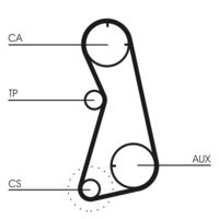 CONTINENTAL CTAM CT869 - Número de dientes: 147<br>Longitud [mm]: 1176<br>Ancho [mm]: 25<br>División dientes [mm]: 8<br>