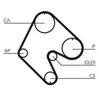 CONTINENTAL CTAM CT529 - Correa dentada