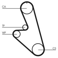 CONTINENTAL CTAM CT959 - Correa dentada