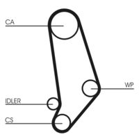 CONTINENTAL CTAM CT539 - Correa dentada