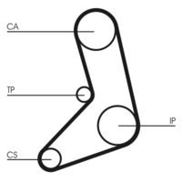 CONTINENTAL CTAM CT542 - Correa dentada