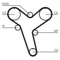 CONTINENTAL CTAM CT894 - Correa dentada