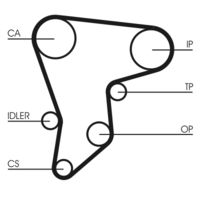 CONTINENTAL CTAM CT590 - Correa dentada