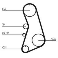 CONTINENTAL CTAM CT919K1 - Número de dientes: 153<br>Longitud [mm]: 1224<br>Ancho [mm]: 25<br>División dientes [mm]: 8<br>cantidad de rodillos de rodadura: 2<br>Artículo complementario / información complementaria 2: sin elemento tensor<br>