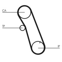 CONTINENTAL CTAM CT616 - Correa dentada