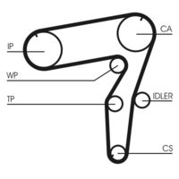 CONTINENTAL CTAM CT918 - Correa dentada