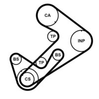 CONTINENTAL CTAM CT921K3PRO - Juego de correas dentadas