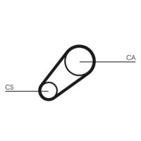 CONTINENTAL CTAM CT648 - Correa dentada