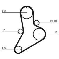 CONTINENTAL CTAM CT622 - Correa dentada