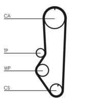 CONTINENTAL CTAM CT688 - Correa dentada