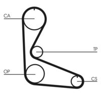 CONTINENTAL CTAM CT702 - Correa dentada