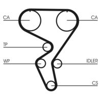 CONTINENTAL CTAM CT724 - Correa dentada