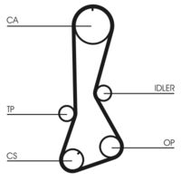 CONTINENTAL CTAM CT694 - Correa dentada