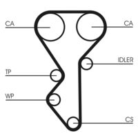 CONTINENTAL CTAM CT955 - Correa dentada