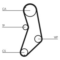 CONTINENTAL CTAM CT745 - Correa dentada