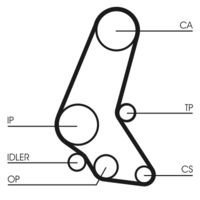 CONTINENTAL CTAM CT748K4 - Juego de correas dentadas