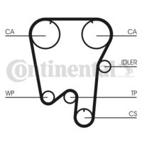 CONTINENTAL CTAM CT855 - Correa dentada