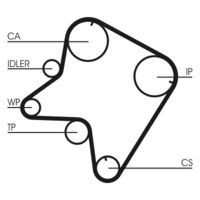 CONTINENTAL CTAM CT762 - Correa dentada