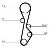 CONTINENTAL CTAM CT774 - Correa dentada