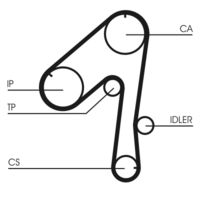 CONTINENTAL CTAM CT786 - Correa dentada