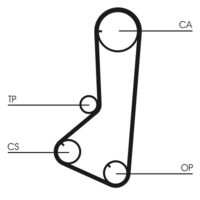 CONTINENTAL CTAM CT801 - Correa dentada