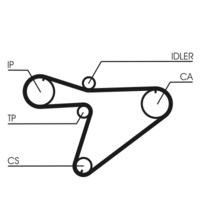 CONTINENTAL CTAM CT810 - Correa dentada