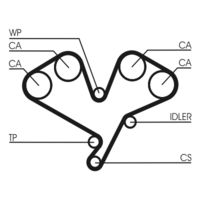 CONTINENTAL CTAM CT822 - Correa dentada