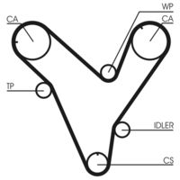 CONTINENTAL CTAM CT829 - Correa dentada