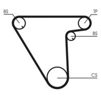 CONTINENTAL CTAM CT833 - Correa dentada