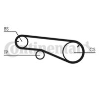 CONTINENTAL CTAM CT991 - Correa dentada