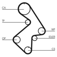 CONTINENTAL CTAM CT998 - Correa dentada