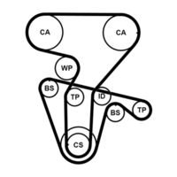 CONTINENTAL CTAM CT877K4PRO - Juego de correas dentadas