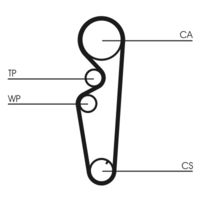 CONTINENTAL CTAM CT878 - Correa dentada