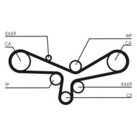 CONTINENTAL CTAM CT920K3 - Juego de correas dentadas