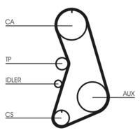 CONTINENTAL CTAM CT919 - Correa dentada