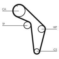 CONTINENTAL CTAM CT926 - Correa dentada