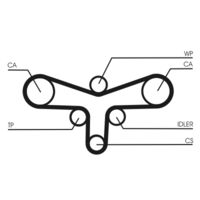 CONTINENTAL CTAM CT920 - Correa dentada